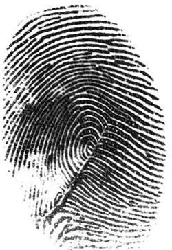 iPhone 5S 的指纹辨识科技