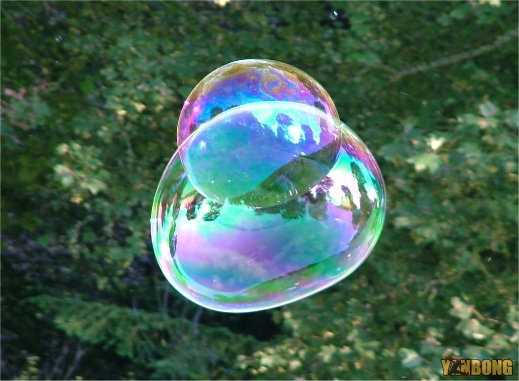 Soap_Bubble_-_foliage_background_-_iridescent_colours_-_Traquair_040801.jpg