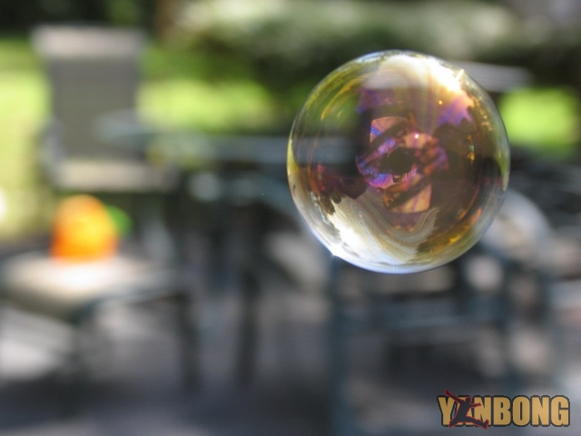 Bubble-IMG_0435.jpg